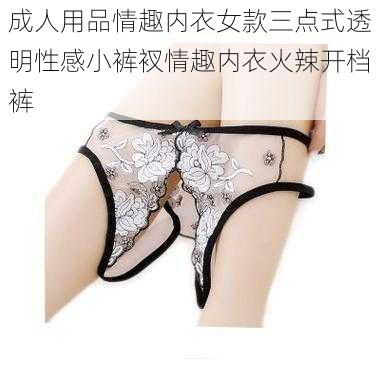 成人用品情趣内衣女款三点式透明性感小裤衩情趣内衣火辣开档裤