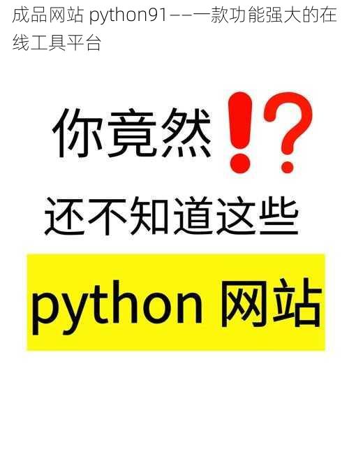 成品网站 python91——一款功能强大的在线工具平台