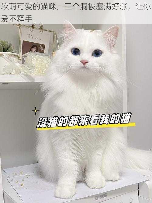 软萌可爱的猫咪，三个洞被塞满好涨，让你爱不释手