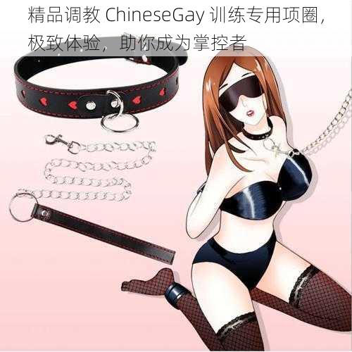 精品调教 ChineseGay 训练专用项圈，极致体验，助你成为掌控者