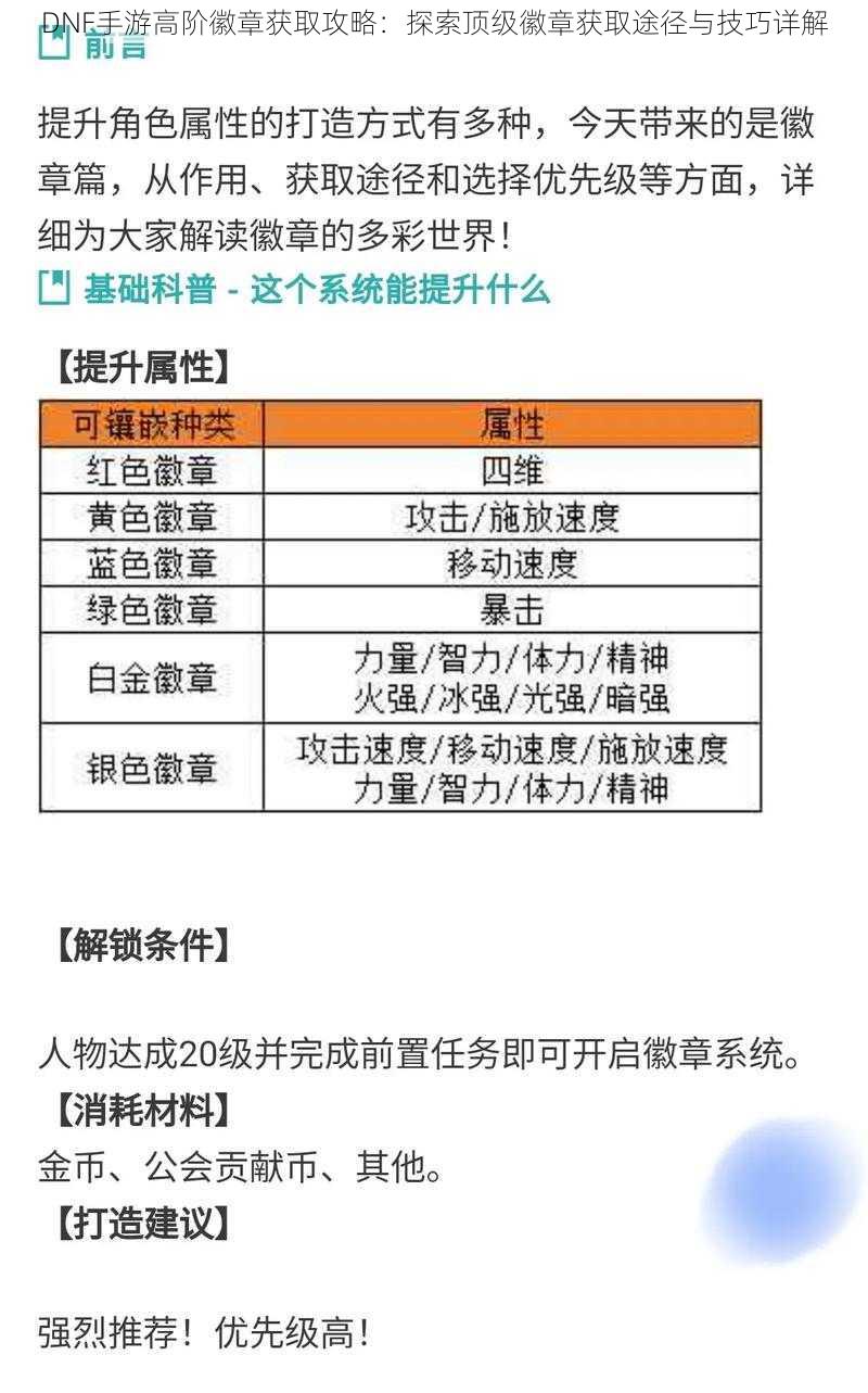 DNF手游高阶徽章获取攻略：探索顶级徽章获取途径与技巧详解