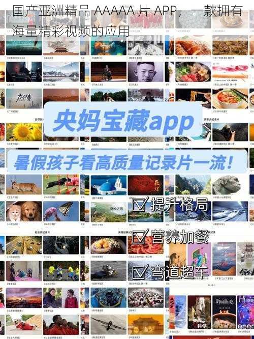 国产亚洲精品 AAAAA 片 APP，一款拥有海量精彩视频的应用