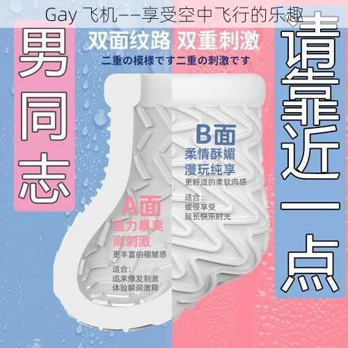 Gay 飞机——享受空中飞行的乐趣