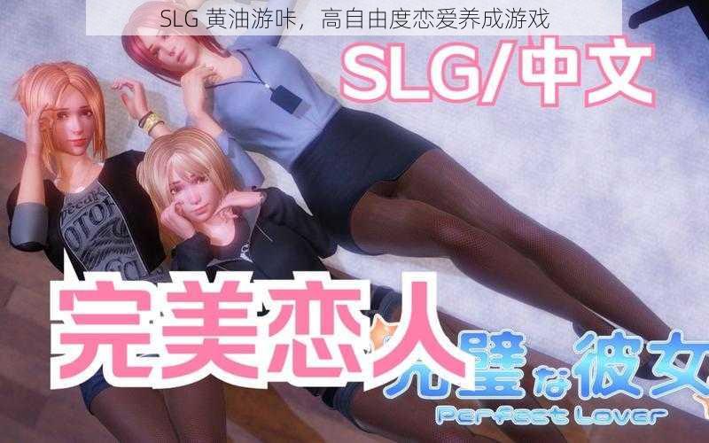 SLG 黄油游咔，高自由度恋爱养成游戏