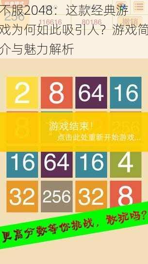 不服2048：这款经典游戏为何如此吸引人？游戏简介与魅力解析