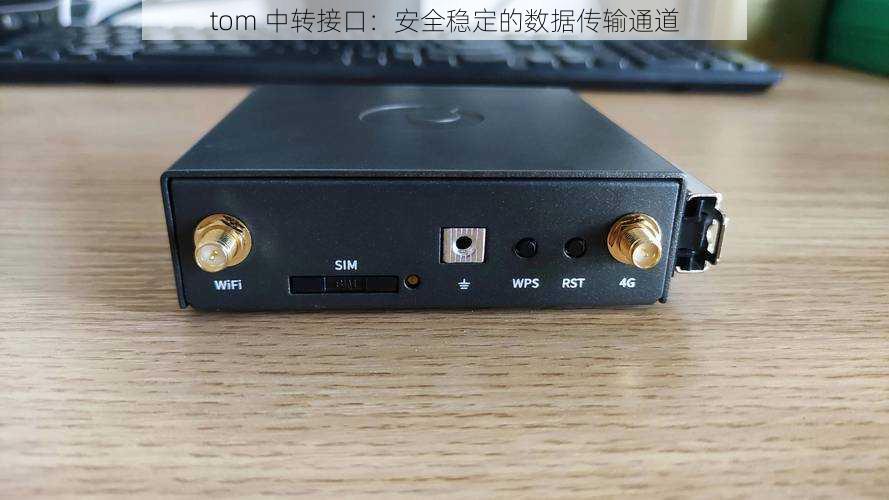 tom 中转接口：安全稳定的数据传输通道