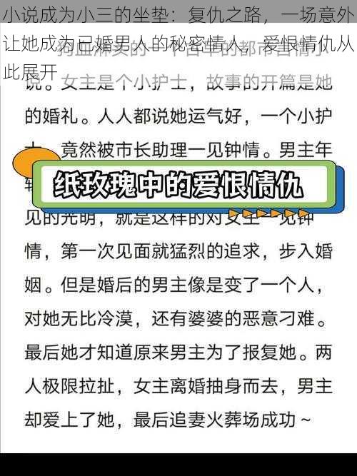 小说成为小三的坐垫：复仇之路，一场意外让她成为已婚男人的秘密情人，爱恨情仇从此展开