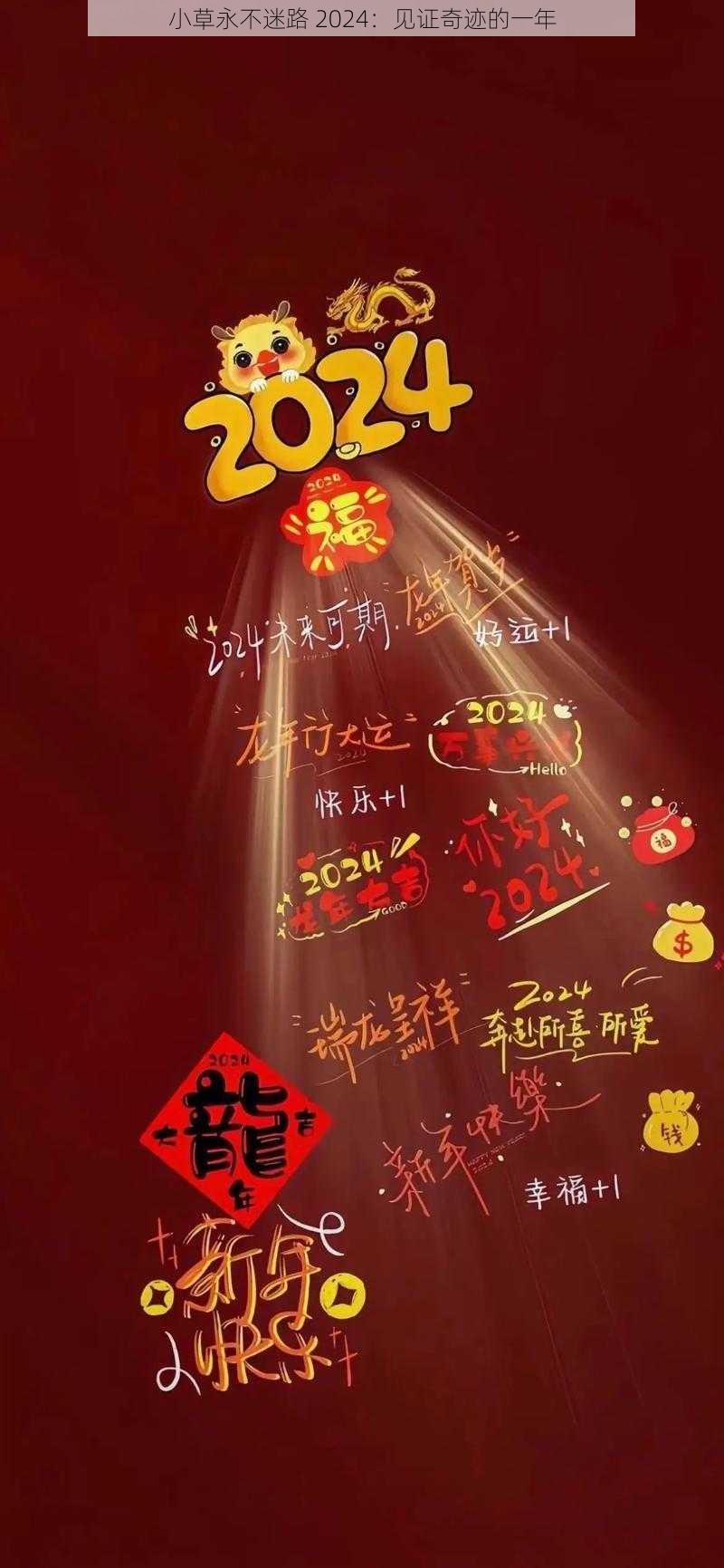 小草永不迷路 2024：见证奇迹的一年