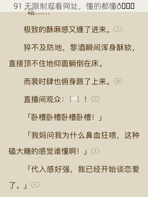 91 无限制观看网址，懂的都懂😏