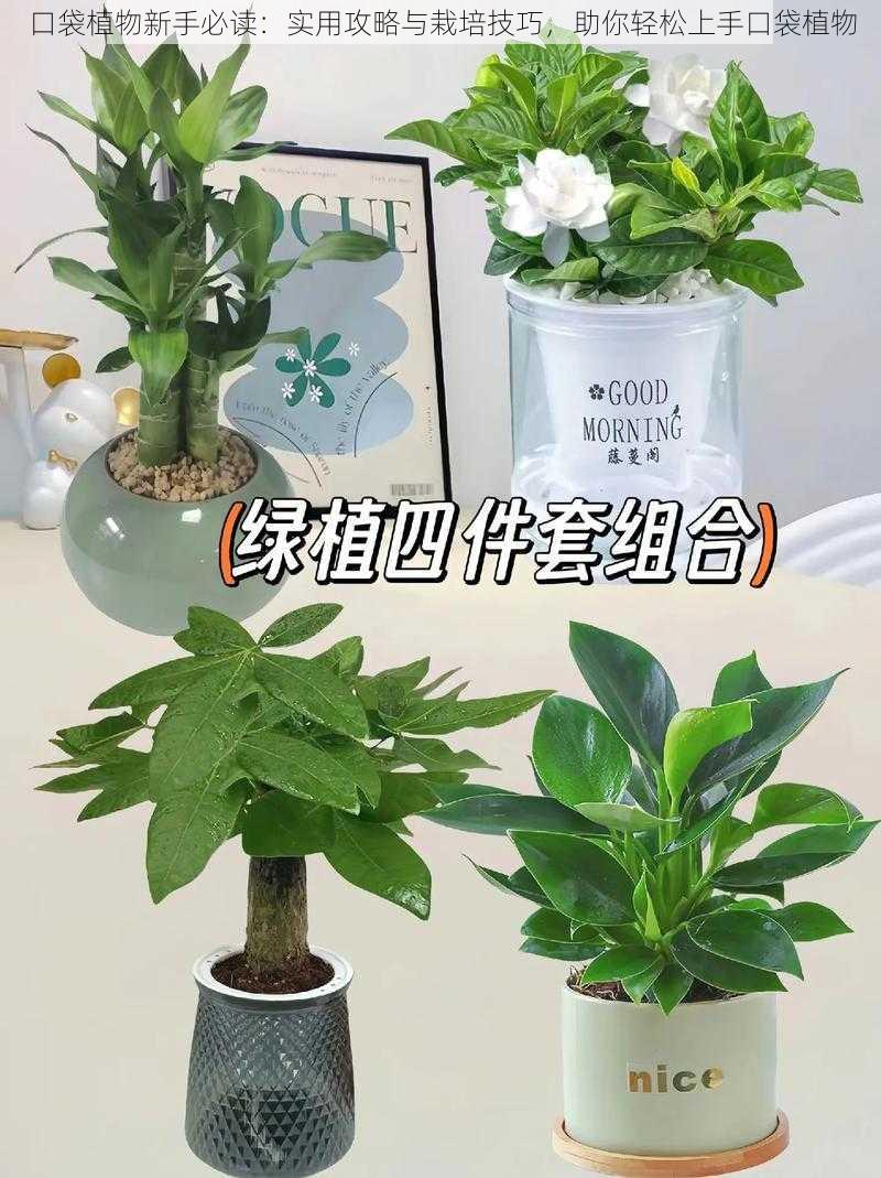 口袋植物新手必读：实用攻略与栽培技巧，助你轻松上手口袋植物