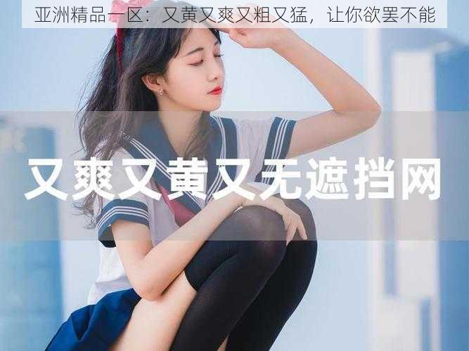 亚洲精品一区：又黄又爽又粗又猛，让你欲罢不能