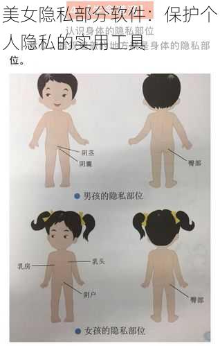 美女隐私部分软件：保护个人隐私的实用工具