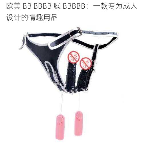 欧美 BB BBBB 臊 BBBBB：一款专为成人设计的情趣用品