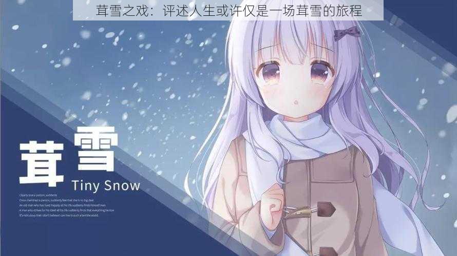 茸雪之戏：评述人生或许仅是一场茸雪的旅程