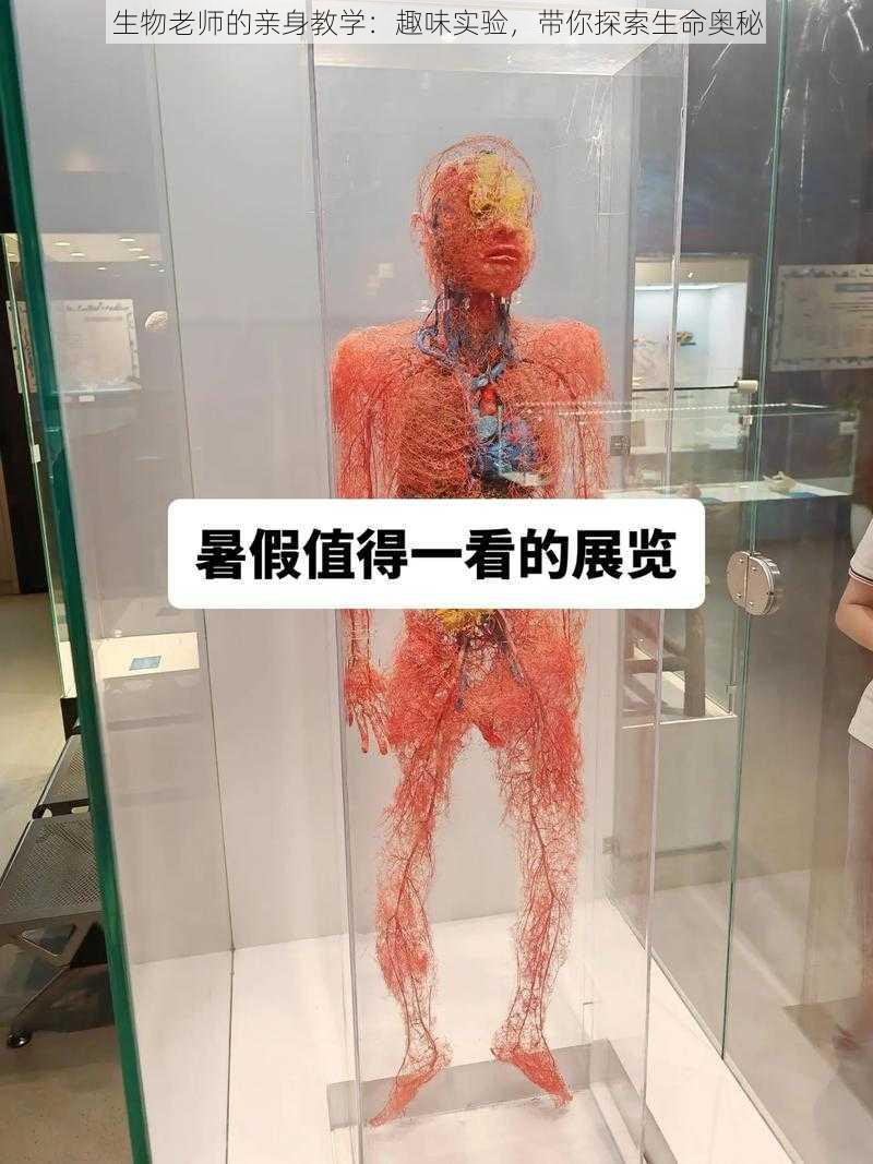 生物老师的亲身教学：趣味实验，带你探索生命奥秘