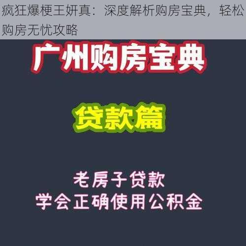 疯狂爆梗王妍真：深度解析购房宝典，轻松购房无忧攻略