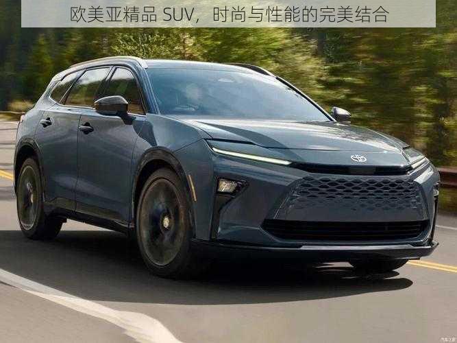 欧美亚精品 SUV，时尚与性能的完美结合