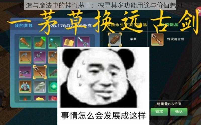 创造与魔法中的神奇茅草：探寻其多功能用途与价值魅力