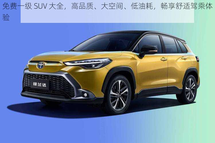 免费一级 SUV 大全，高品质、大空间、低油耗，畅享舒适驾乘体验