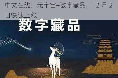 中文在线：元宇宙+数字藏品，12 月 2 日快速上涨