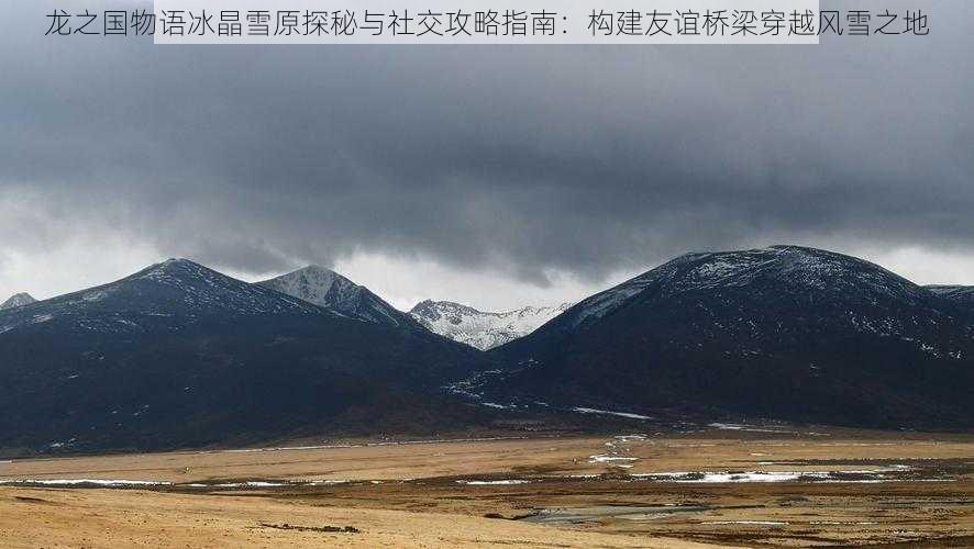 龙之国物语冰晶雪原探秘与社交攻略指南：构建友谊桥梁穿越风雪之地