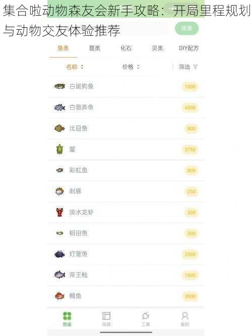 集合啦动物森友会新手攻略：开局里程规划与动物交友体验推荐