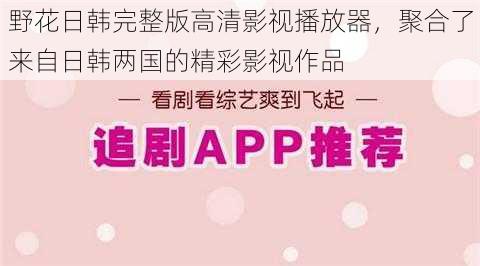 野花日韩完整版高清影视播放器，聚合了来自日韩两国的精彩影视作品