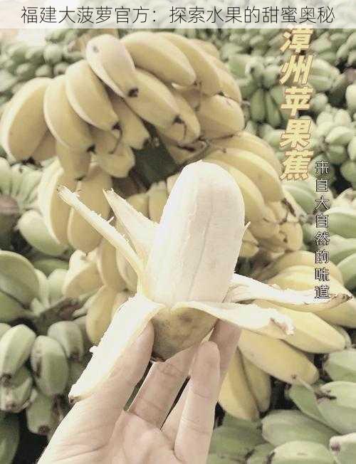 福建大菠萝官方：探索水果的甜蜜奥秘