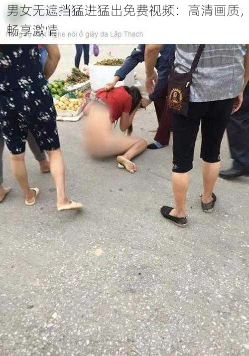 男女无遮挡猛进猛出免费视频：高清画质，畅享激情