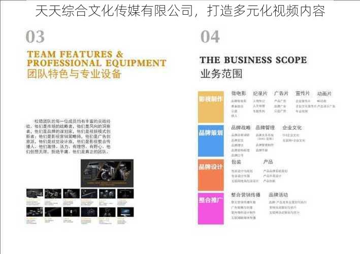 天天综合文化传媒有限公司，打造多元化视频内容
