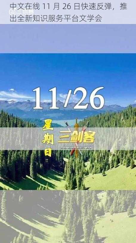 中文在线 11 月 26 日快速反弹，推出全新知识服务平台文学会