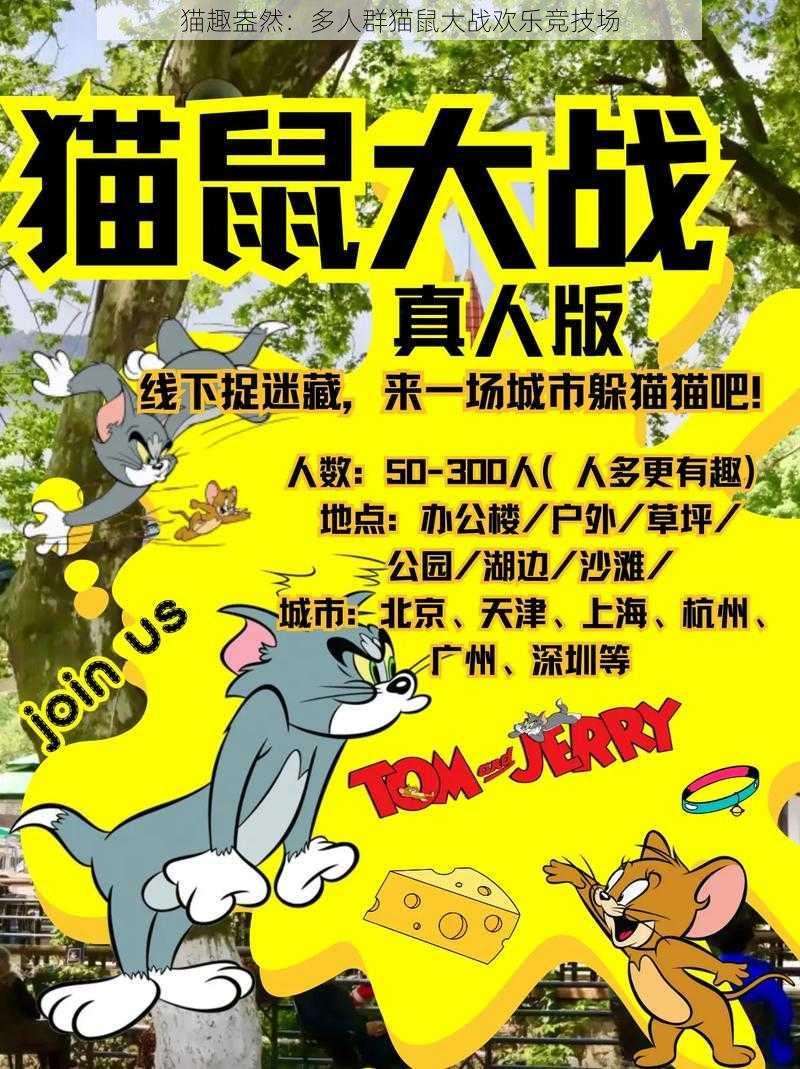 猫趣盎然：多人群猫鼠大战欢乐竞技场