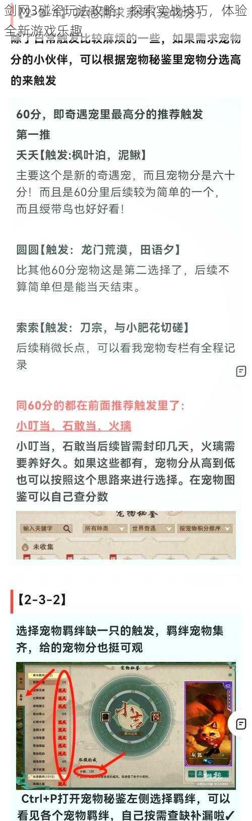 剑网3碰瓷玩法攻略：探索实战技巧，体验全新游戏乐趣