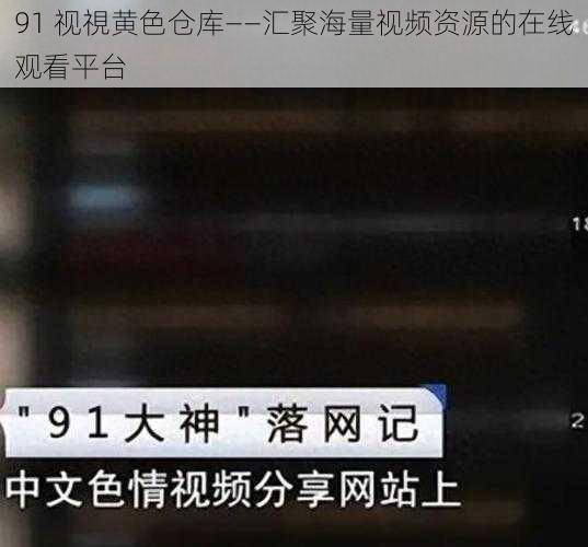 91 视視黄色仓库——汇聚海量视频资源的在线观看平台