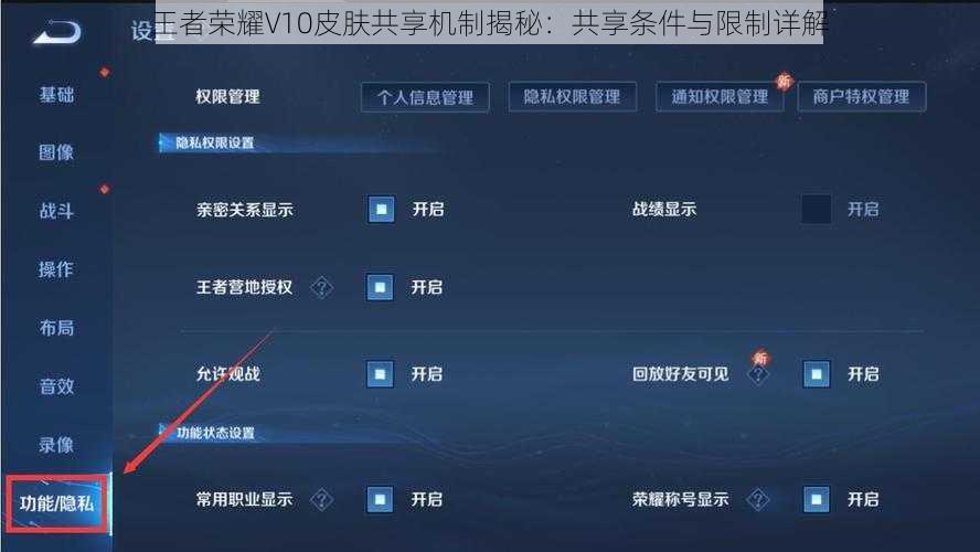王者荣耀V10皮肤共享机制揭秘：共享条件与限制详解