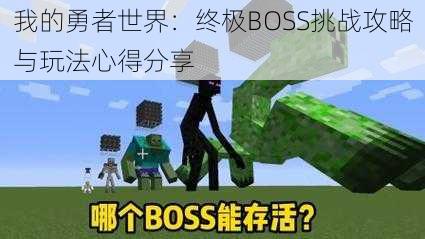 我的勇者世界：终极BOSS挑战攻略与玩法心得分享