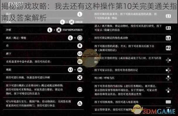 揭秘游戏攻略：我去还有这种操作第10关完美通关指南及答案解析