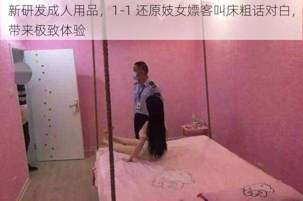 新研发成人用品，1-1 还原妓女嫖客叫床粗话对白，带来极致体验