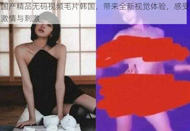 国产精品无码视频毛片韩国，带来全新视觉体验，感受激情与刺激