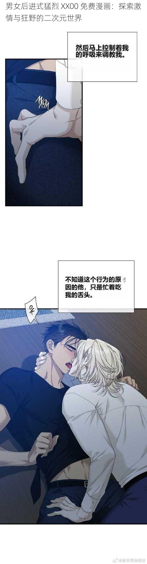 男女后进式猛烈 XX00 免费漫画：探索激情与狂野的二次元世界