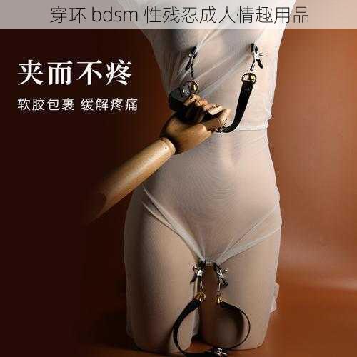 穿环 bdsm 性残忍成人情趣用品