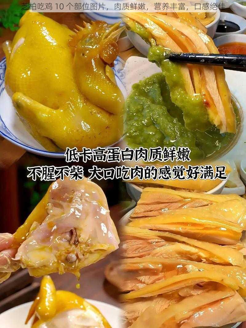 芝柏吃鸡 10 个部位图片，肉质鲜嫩，营养丰富，口感绝佳