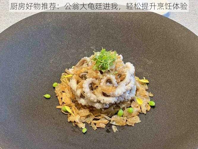 厨房好物推荐：公翁大龟廷进我，轻松提升烹饪体验