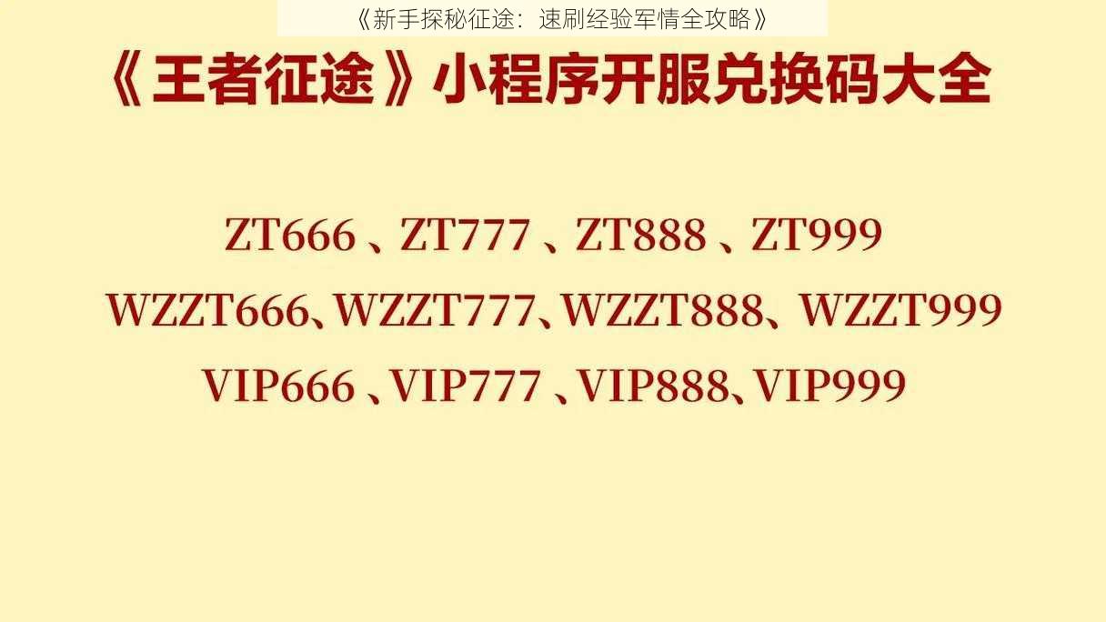 《新手探秘征途：速刷经验军情全攻略》