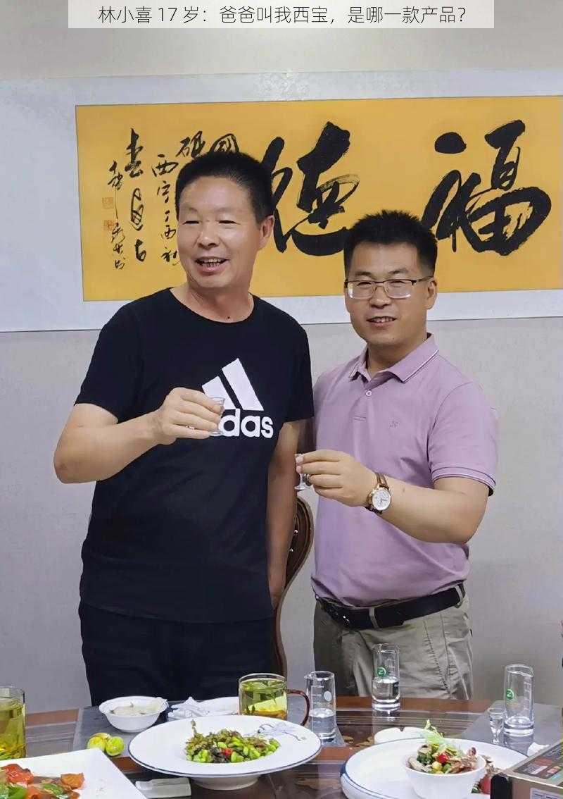 林小喜 17 岁：爸爸叫我西宝，是哪一款产品？