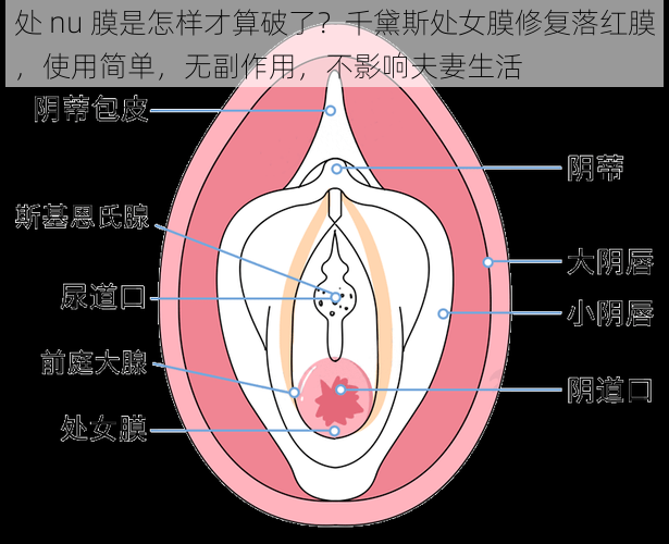 处 nu 膜是怎样才算破了？千黛斯处女膜修复落红膜，使用简单，无副作用，不影响夫妻生活