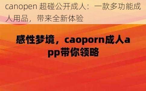 canopen 超碰公开成人：一款多功能成人用品，带来全新体验