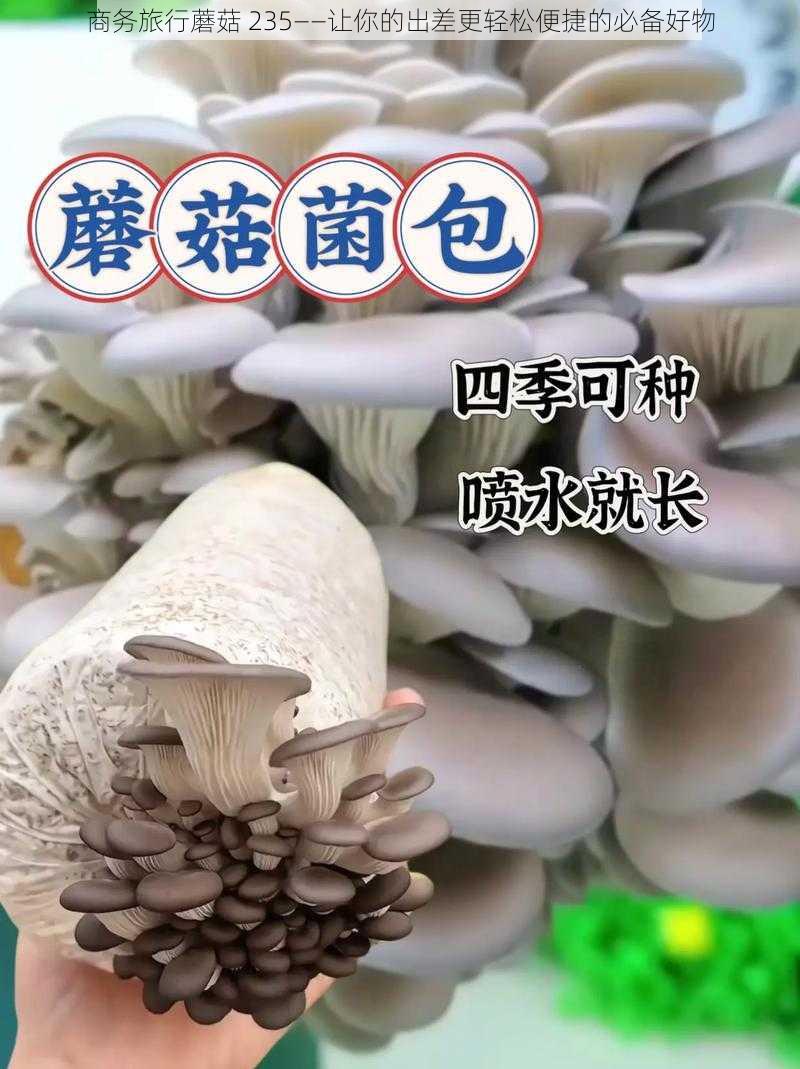 商务旅行蘑菇 235——让你的出差更轻松便捷的必备好物