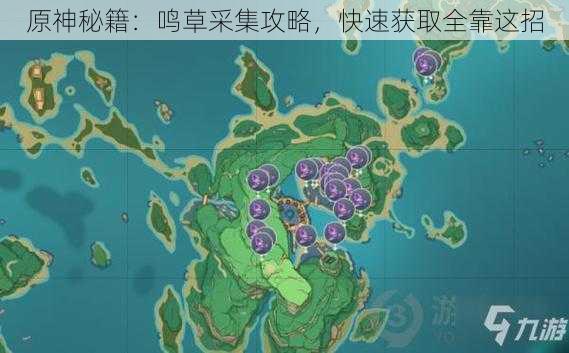 原神秘籍：鸣草采集攻略，快速获取全靠这招