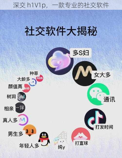 深交 h1∨1p，一款专业的社交软件